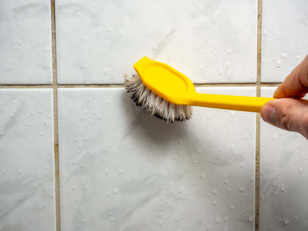 Best Fast Mold Removal  in Gold Beach, OR