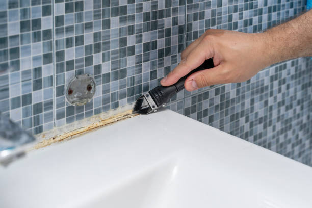 Attic Mold Removal in Gold Beach, OR
